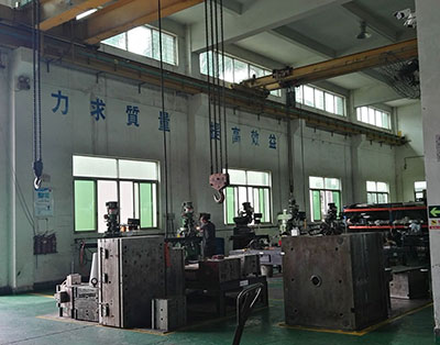 Large injection molding machine mold